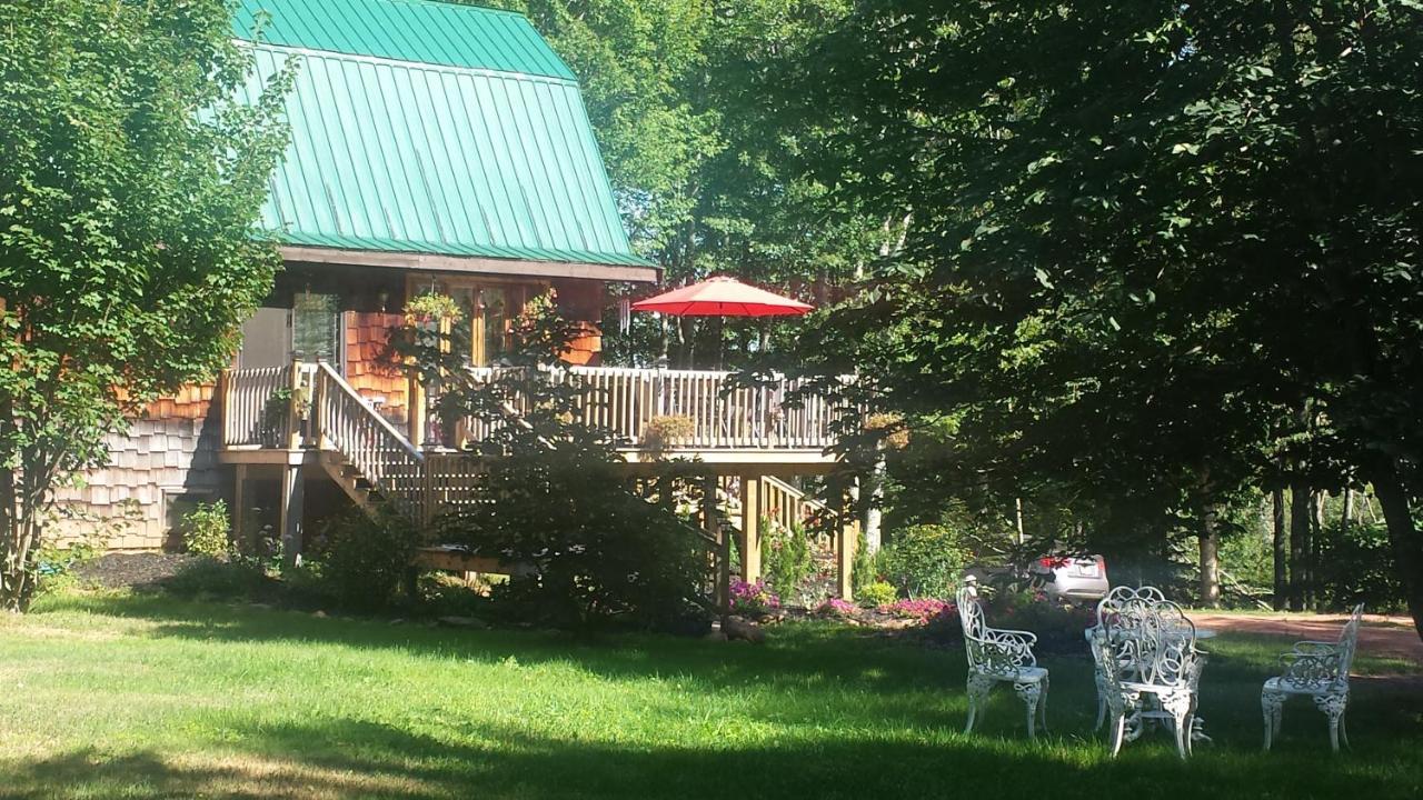 Chestnut Lane Bed And Breakfast Hunter River Exterior foto